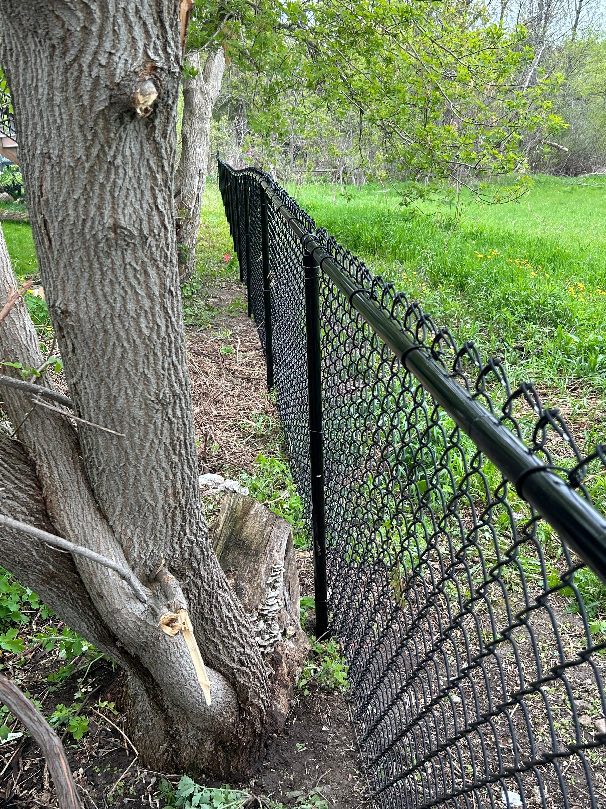 Completed fence project