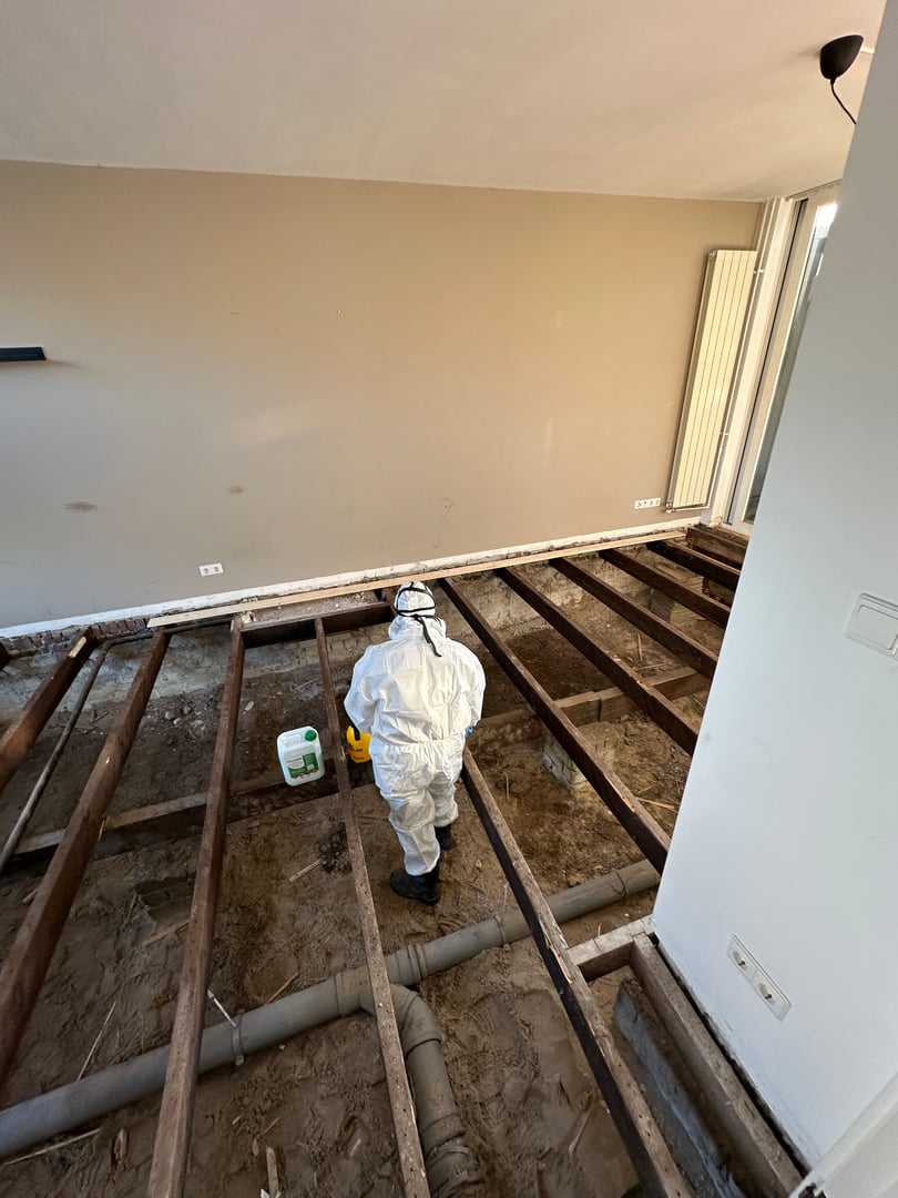 Betonwerk project Bouwveld Constructie