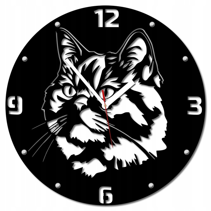 Zegar kot brytyjski krótkowłosy