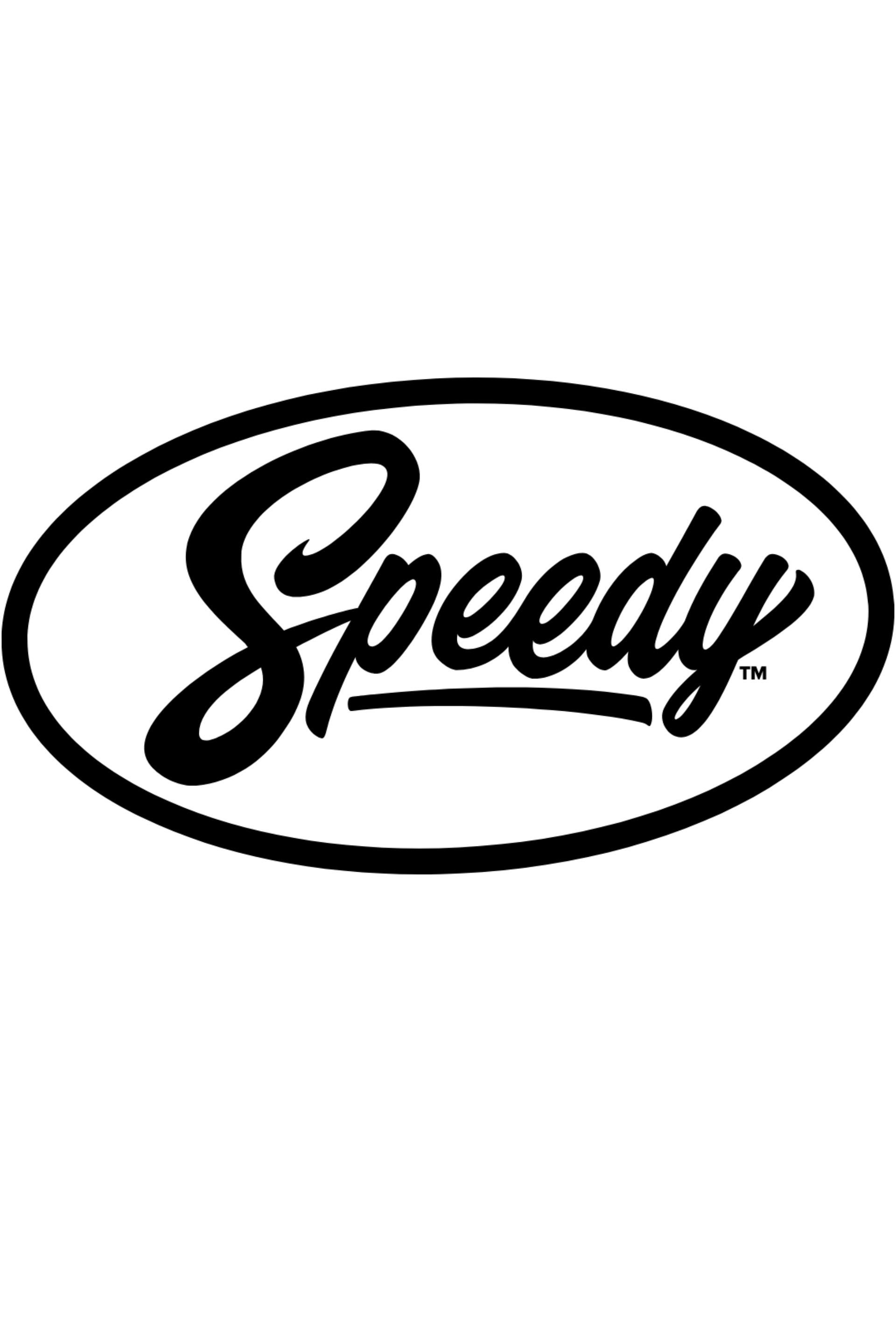 Speedy Supply Co website