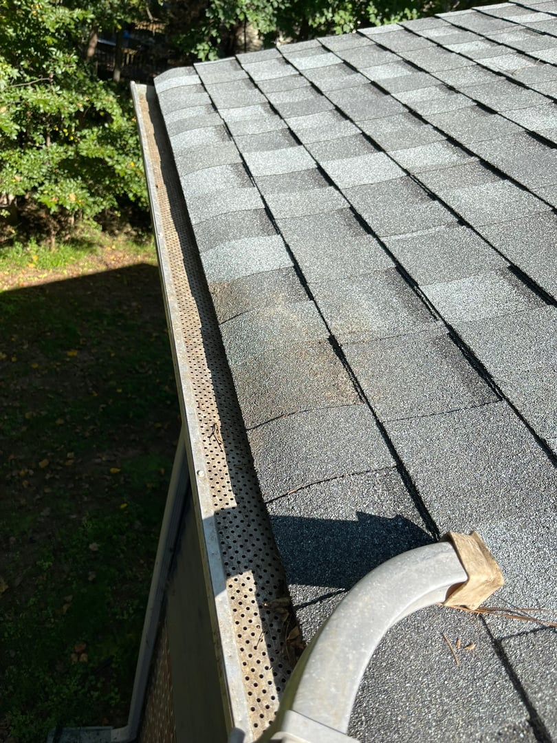 Gutter cleaning