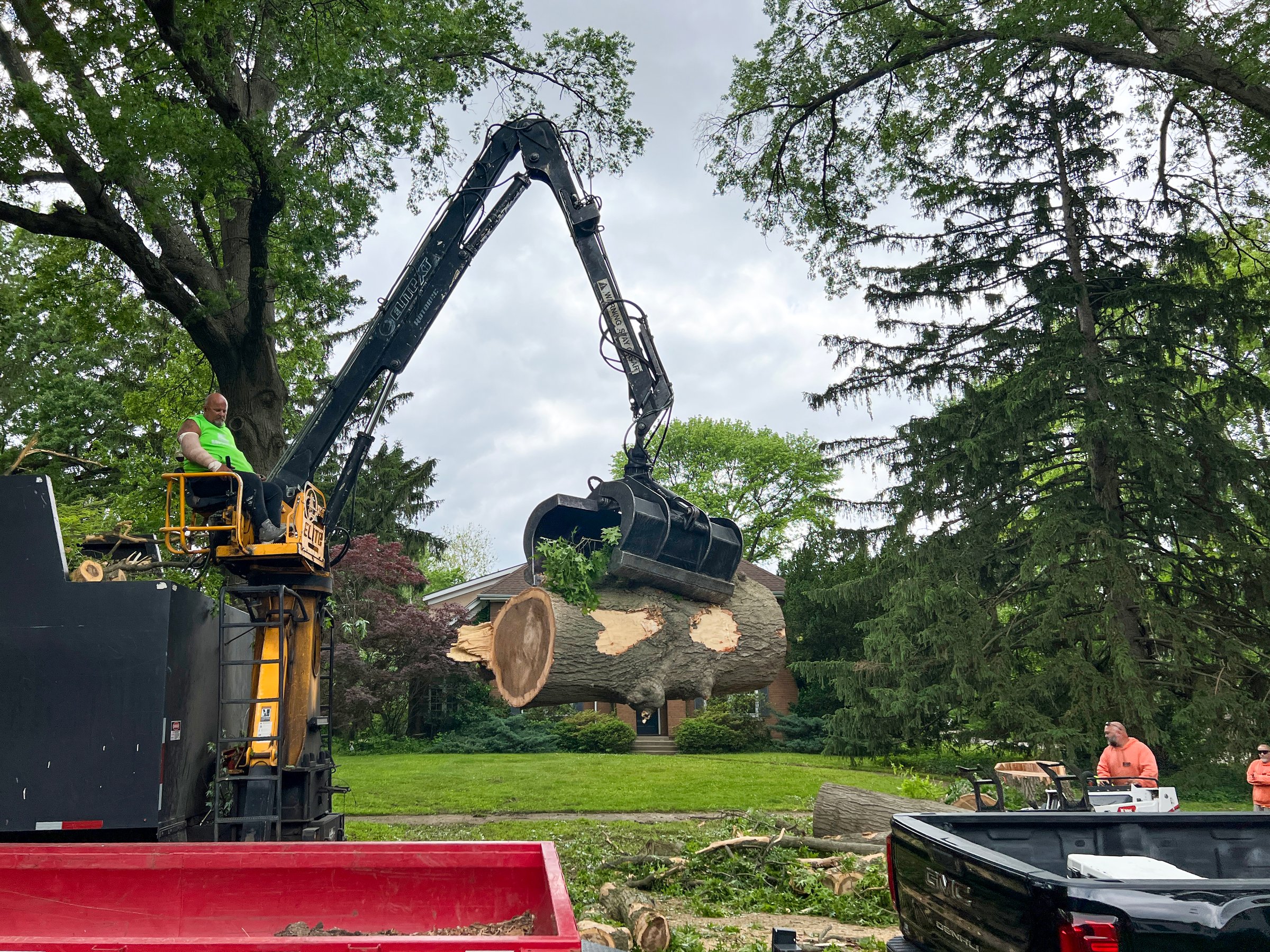 Springfield, Illinois, USA : May 21, 2025 Environmental cleanup following a natural disaster. Crew uses heavy equipment to remove a large tree that has fallen following severe storms. Residential neighborhood on a city street.