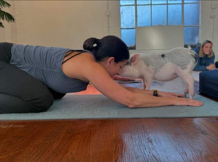 People practicing yoga meditation