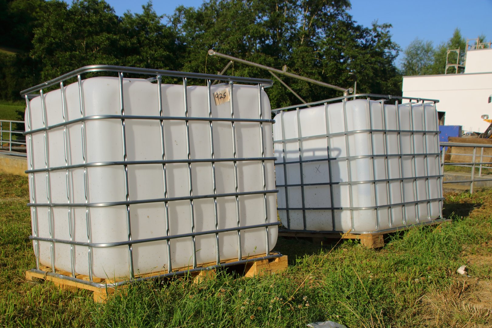 IBC container serves as water storage for watering flowers