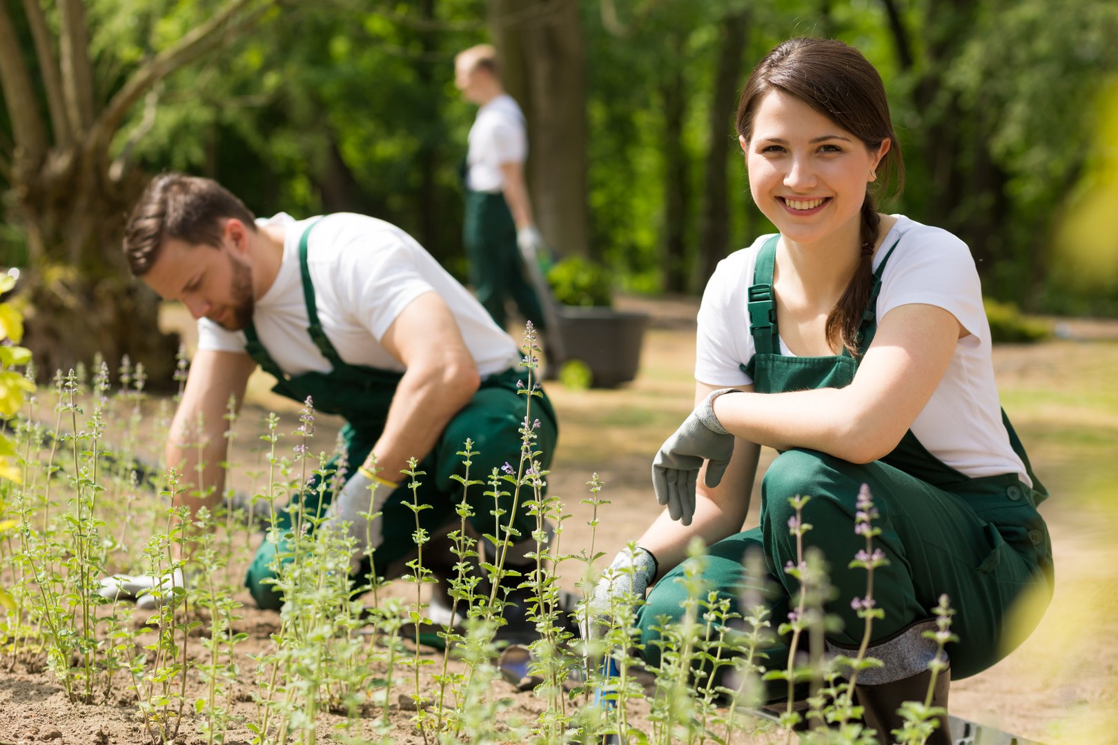 Team of gardeners planting flowers in the garden