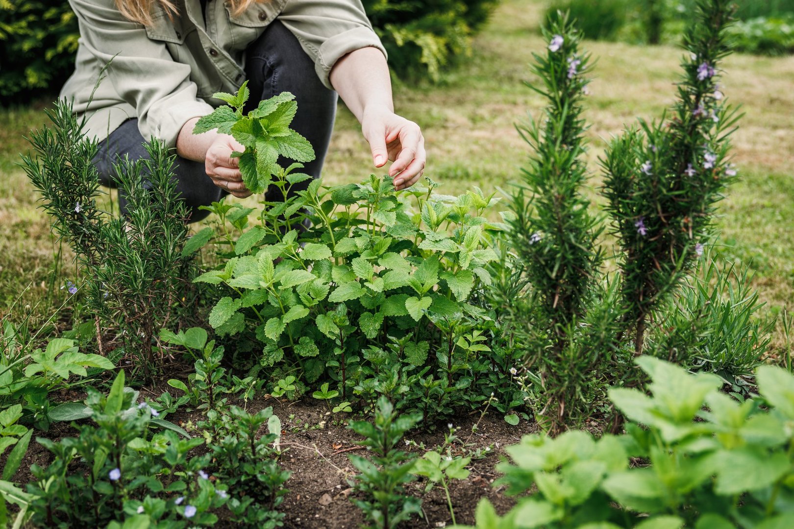 Garden Innovation