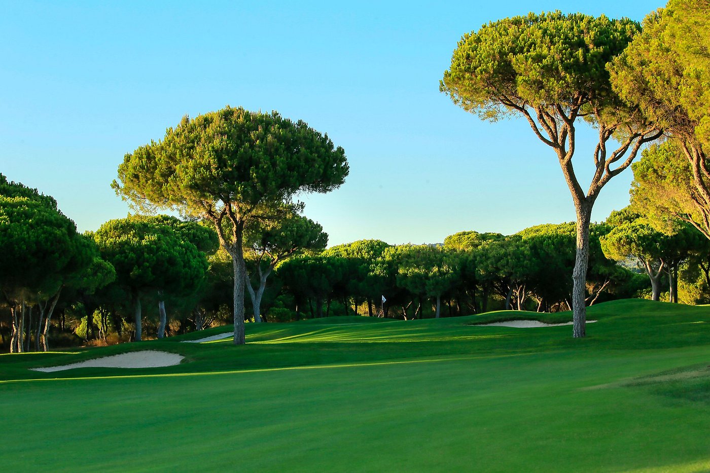 Dom Pedro Millennium Golf