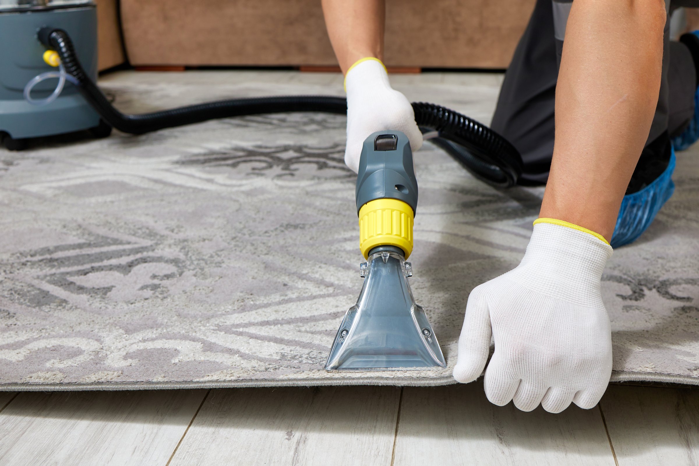 Professional carpet cleaning with vacuum cleaner in a spacious and luxurious living room interior. Room is elegantly decorated with modern furniture and soft, plush carpet.