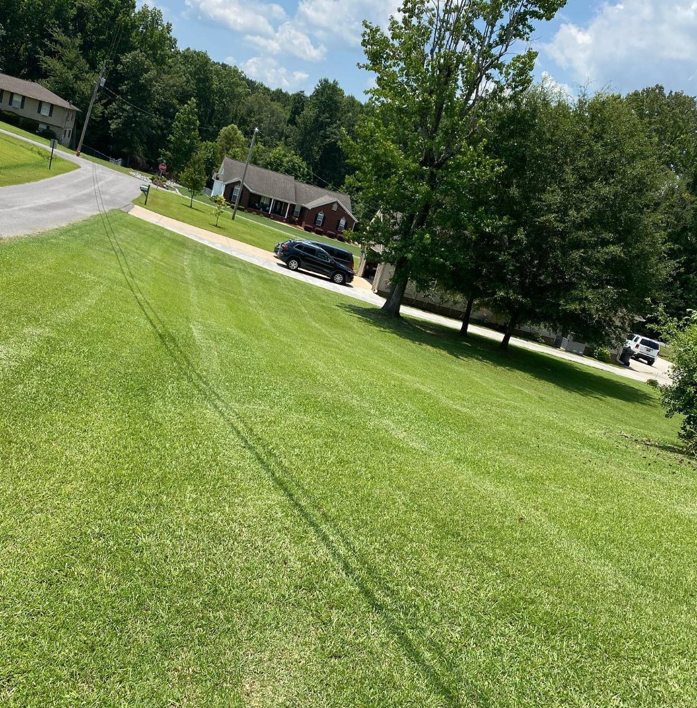 McGlaughn Lawn Care professional work