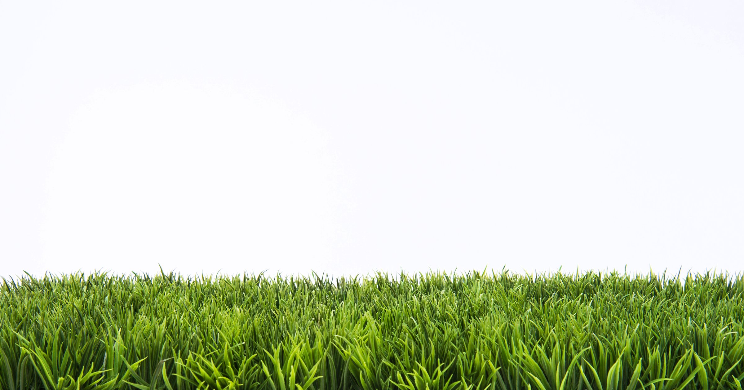 Green grass lawn with sunny and rainy days