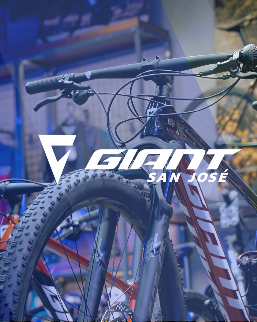 Brand showcase example