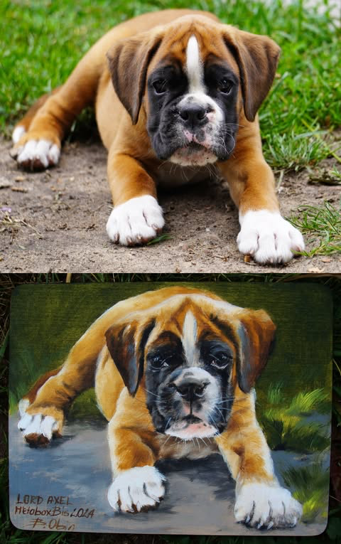 Zrealizowane zamówienie 34