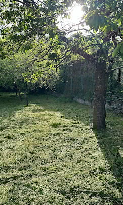 Europak promet projekt 4