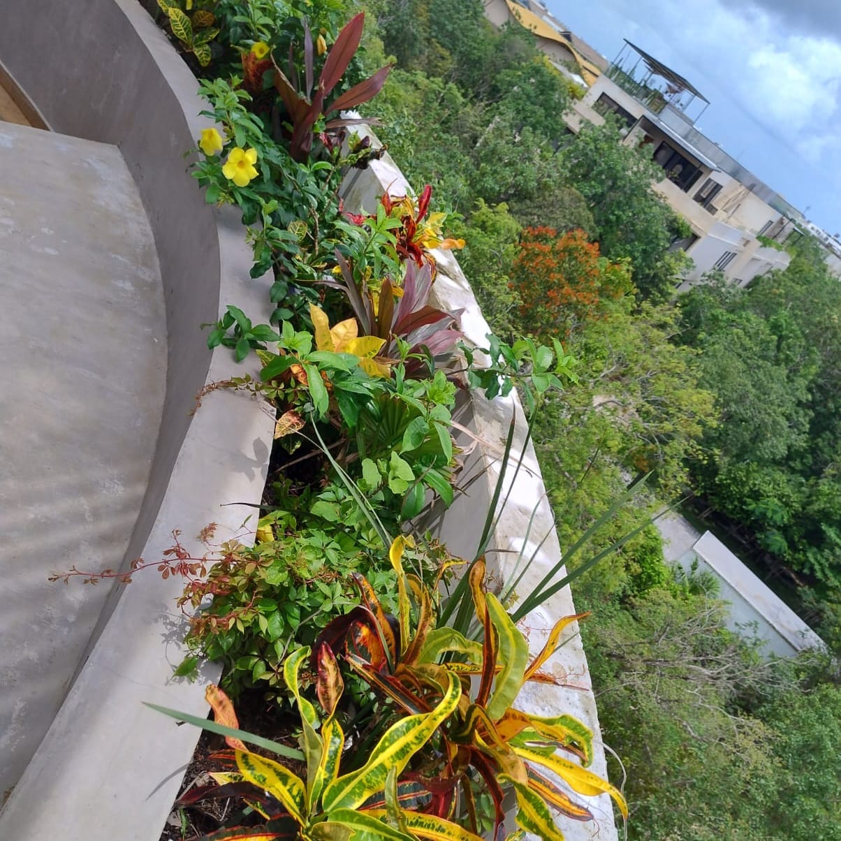 Casa Luz de Luna - Jardín elegante para Airbnb