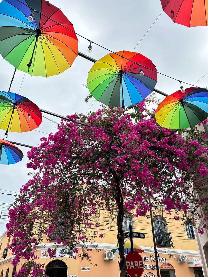 Luxury Car Transportation