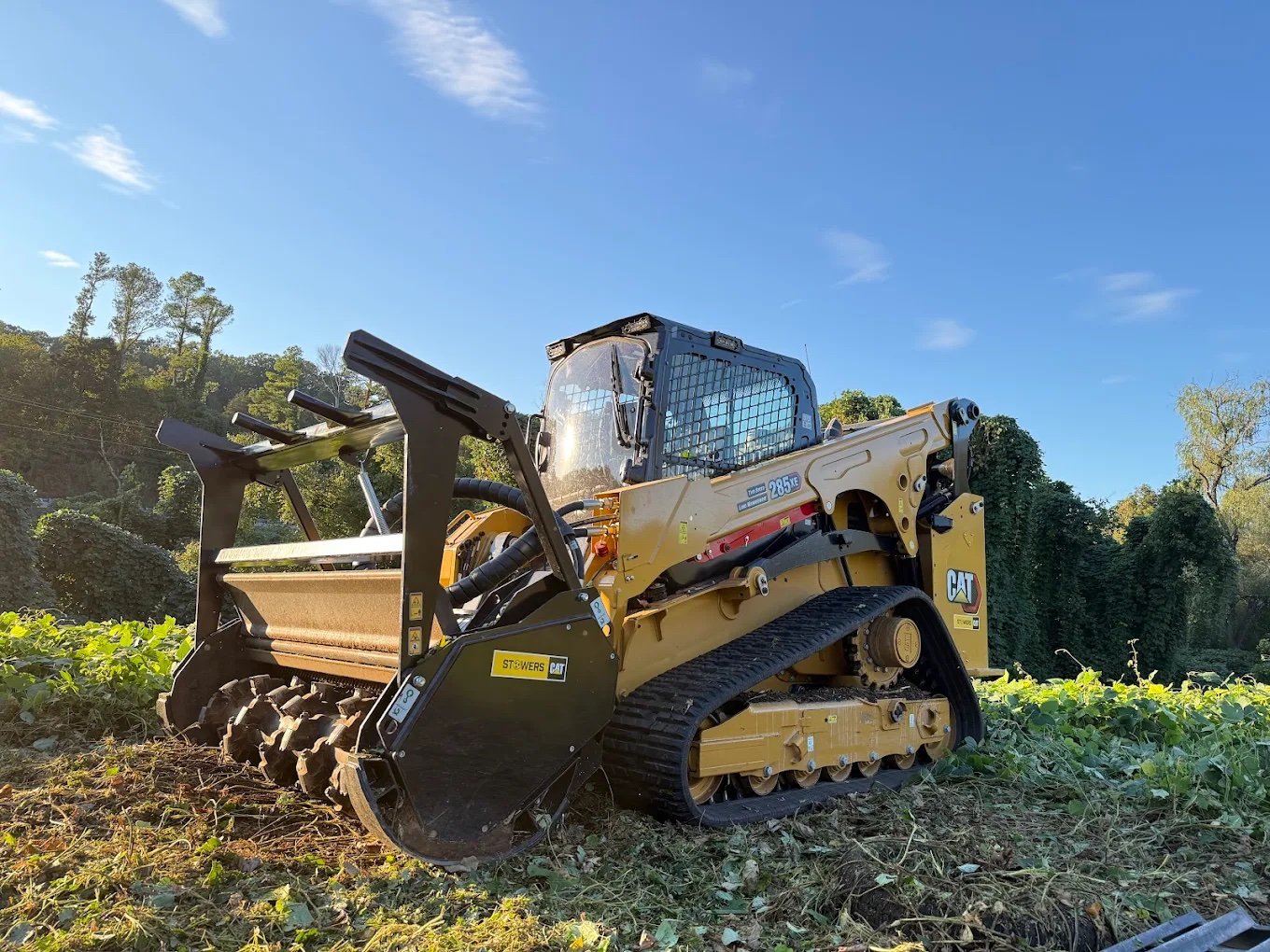 Land clearing project