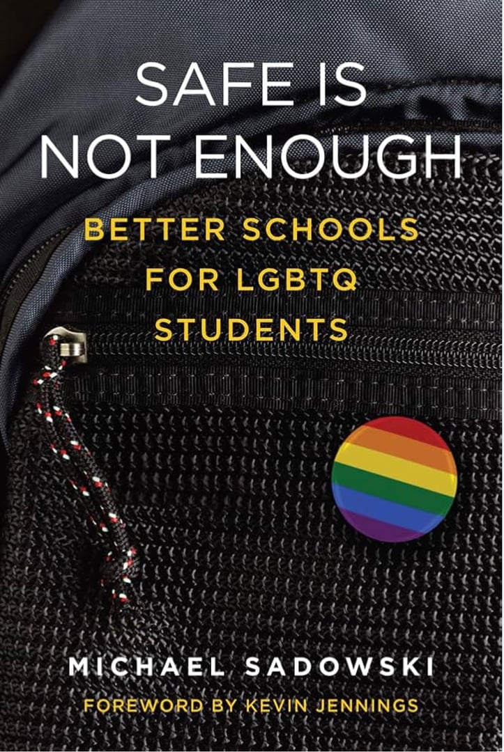 Safe Is Not Enough book cover