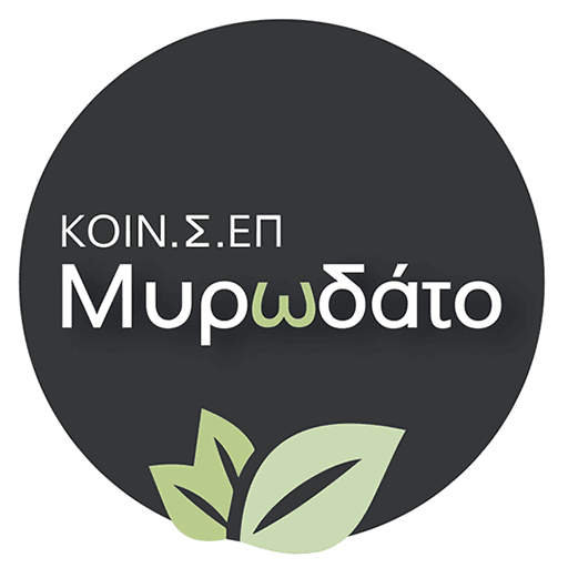 Company Logo 13