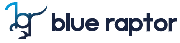 Logo of Blue Raptor featuring a stylized blue bird with the letters br integrated and the company name beside it.