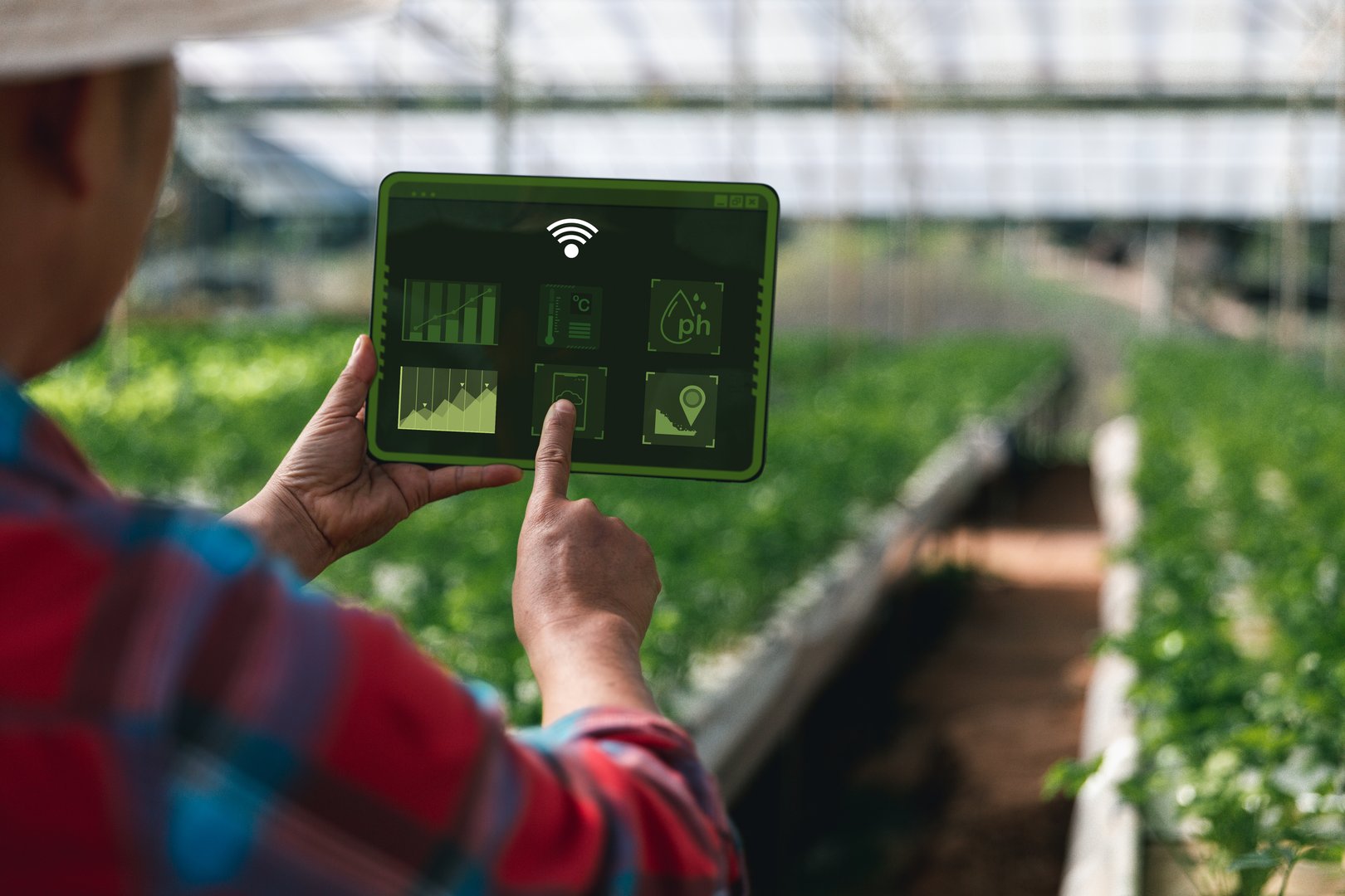 Smart farmer using tablet to check light and environmental conditions in a hydroponic greenhouse