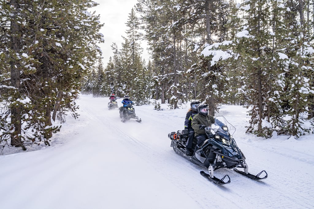 Snowmobile trail group riding