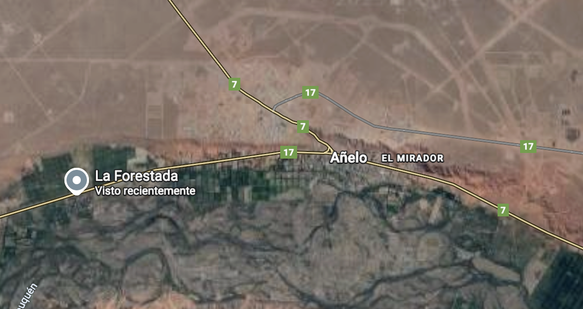 Captura de pantalla de ubicación y servicios en Vaca Muerta - Neuquino UNO