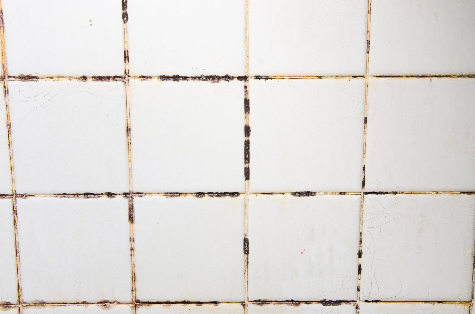 Grout sealing service