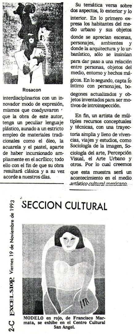 Exposición 19 de Noviembre 1993