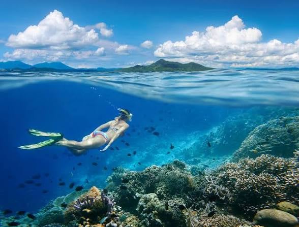 Tropical fish snorkeling tours in Hawaii