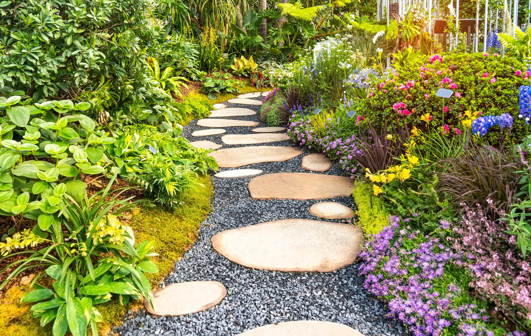 path leading through a garden