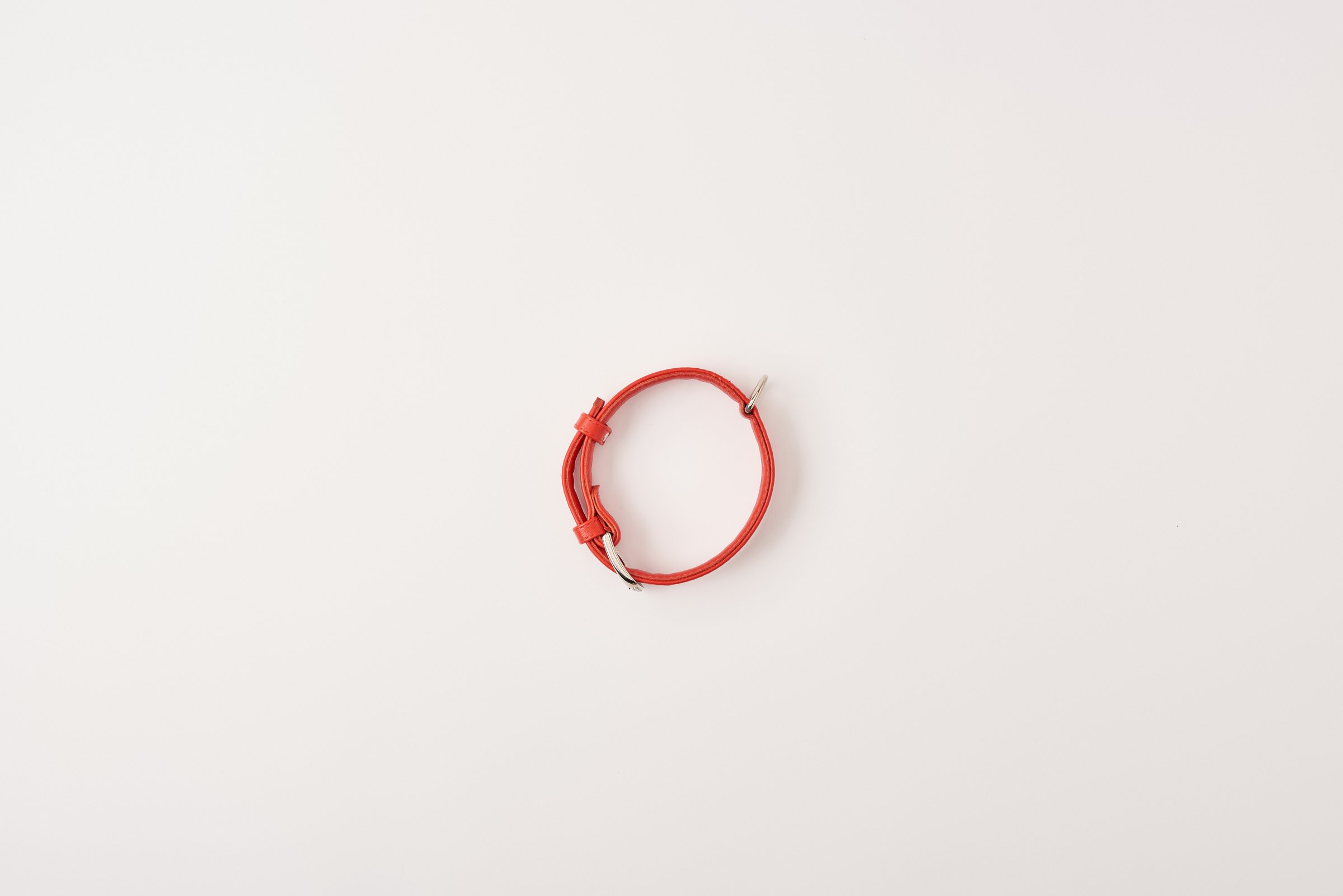 flat lay with red leather dog collar on white surface, minimalistic concept