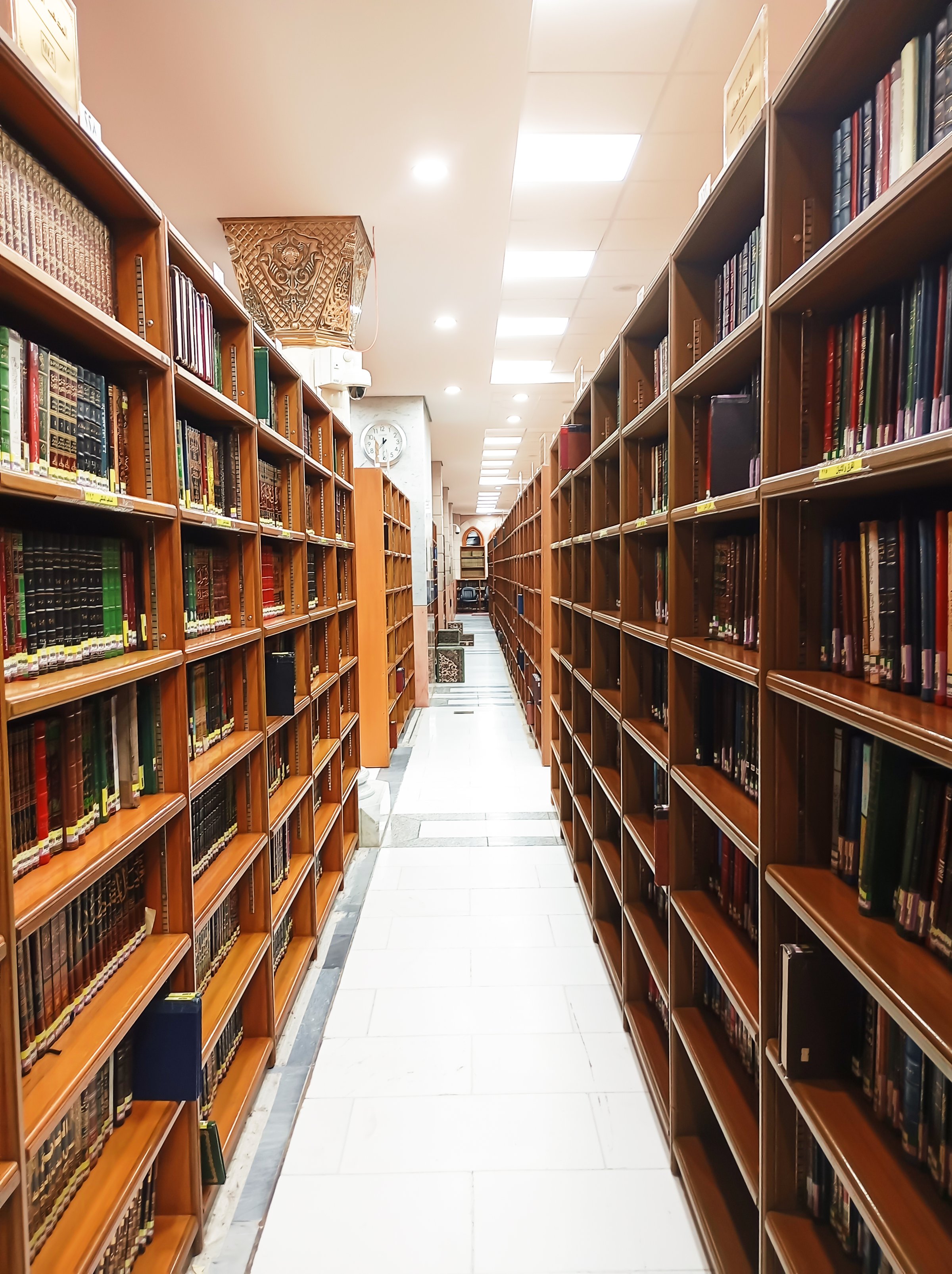 Library walkway with wooden book racks
