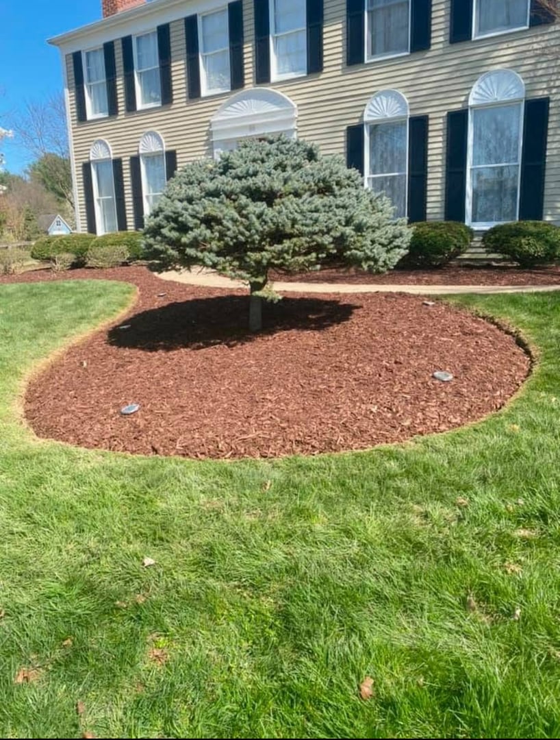 Landscape Design & Installation project