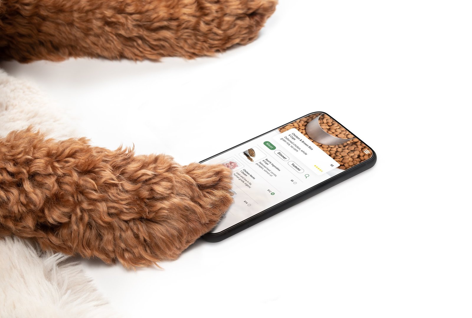 Labradoodle dog is using a smartphone with pet themed food or grocery delivery order screen. Funny concept for takeaway or online ordering. Selective focus.