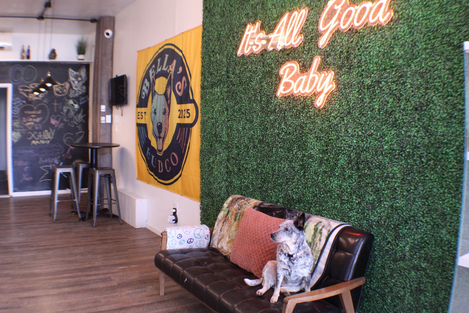 Bella's Bud Co Interior View