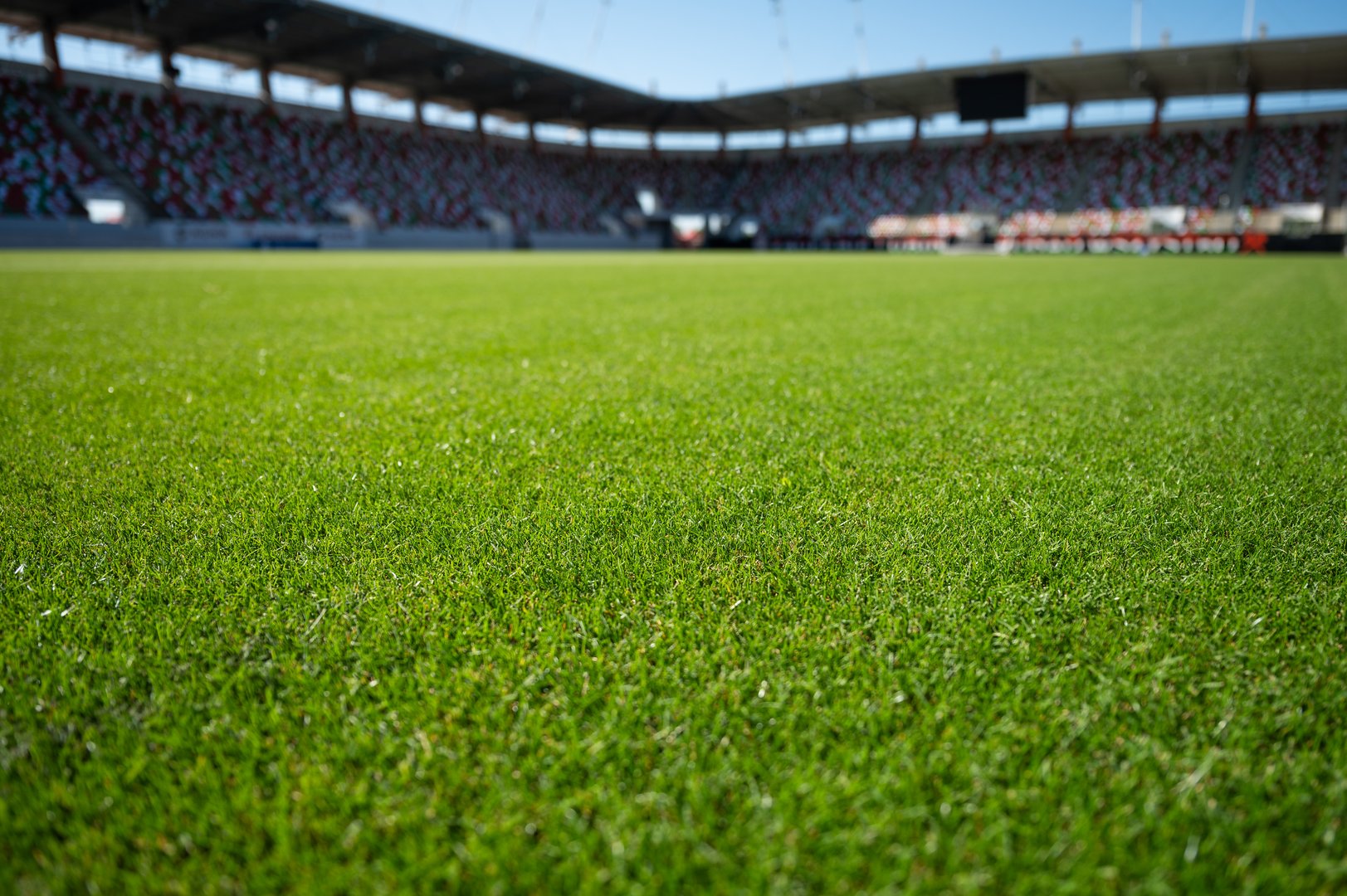 Grass at the football stadium during sunny summer day