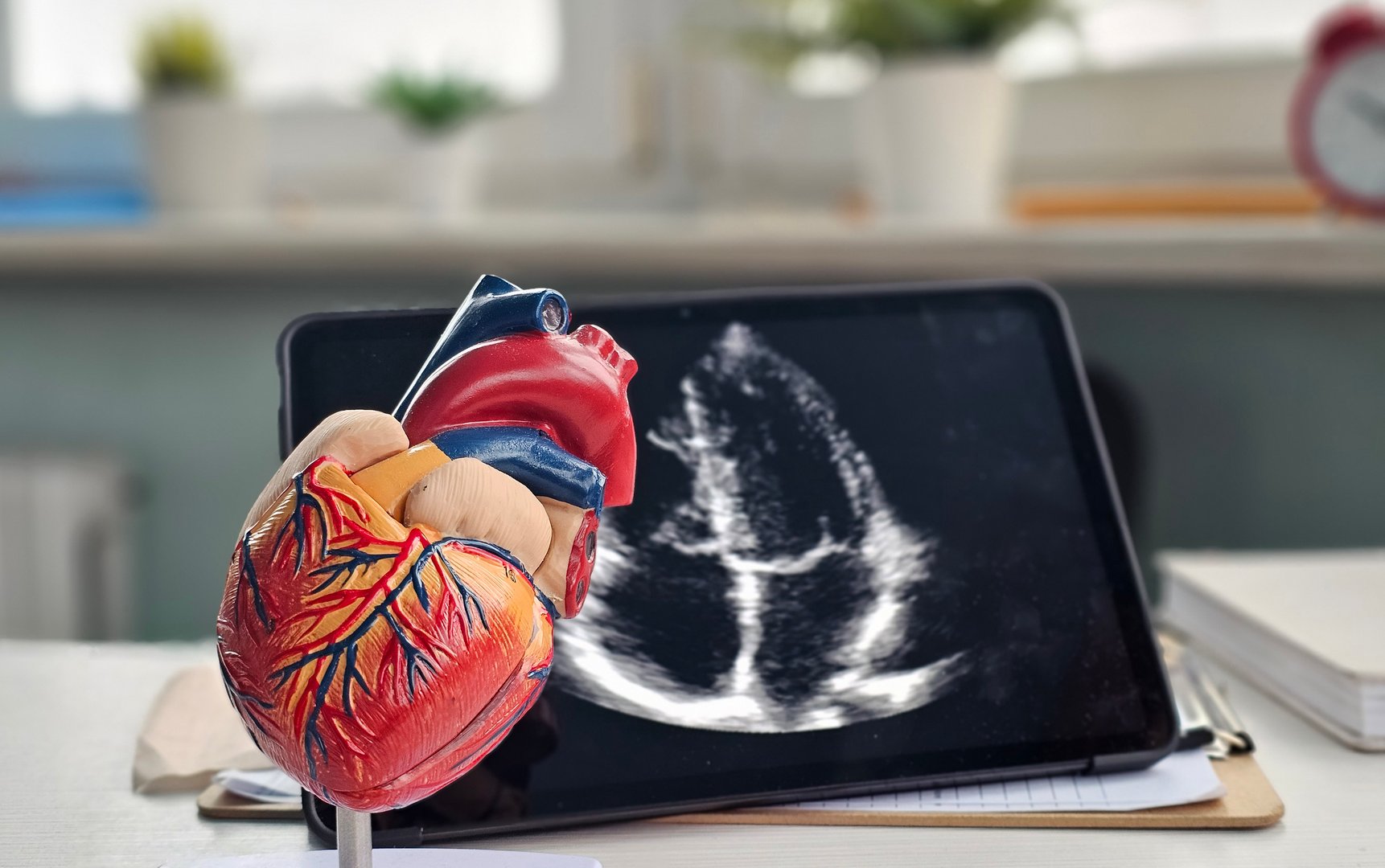 Model of a human heart with echocardiogram displayed on a tablet in a medical setting