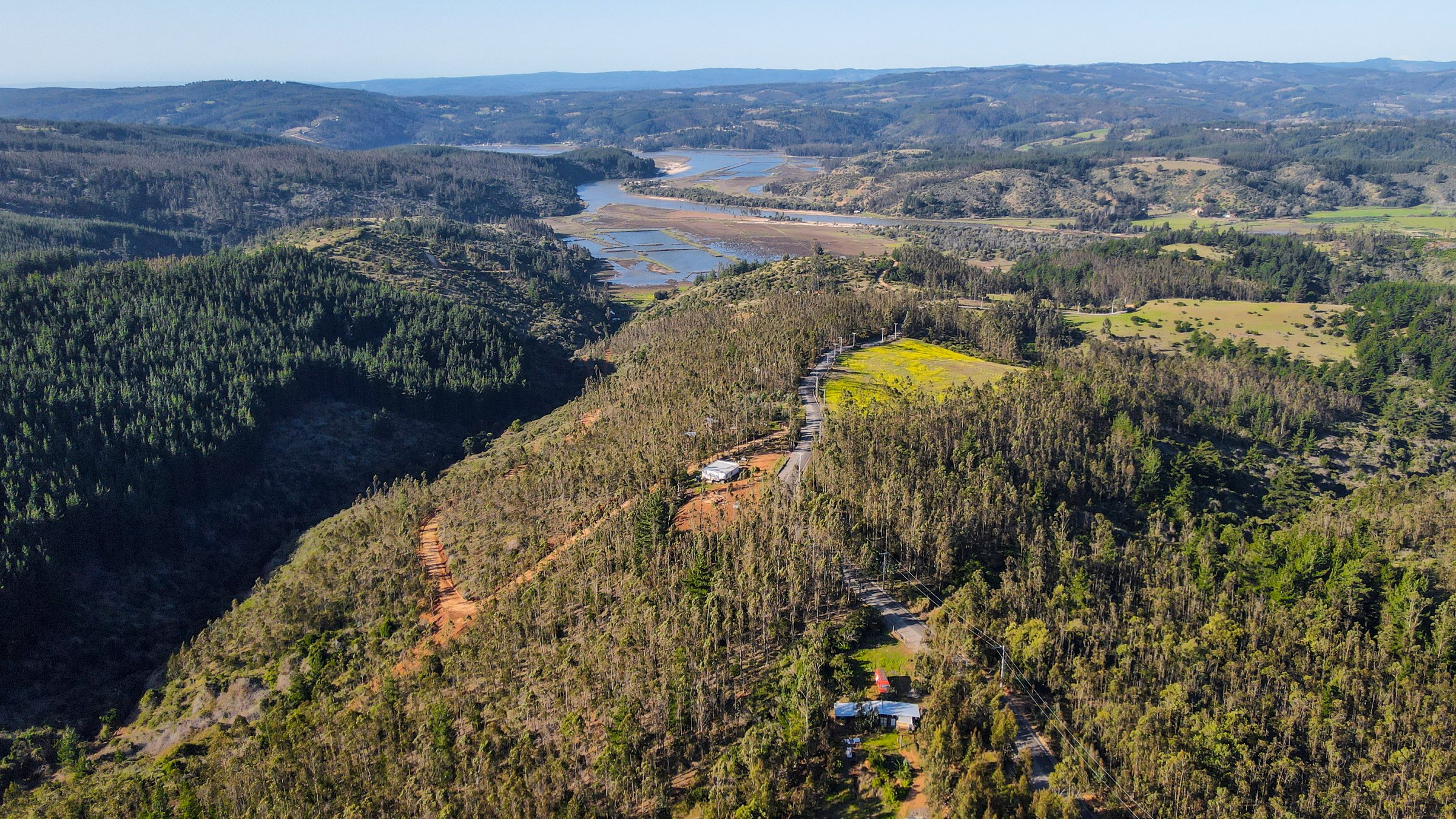 Detalle del proyecto