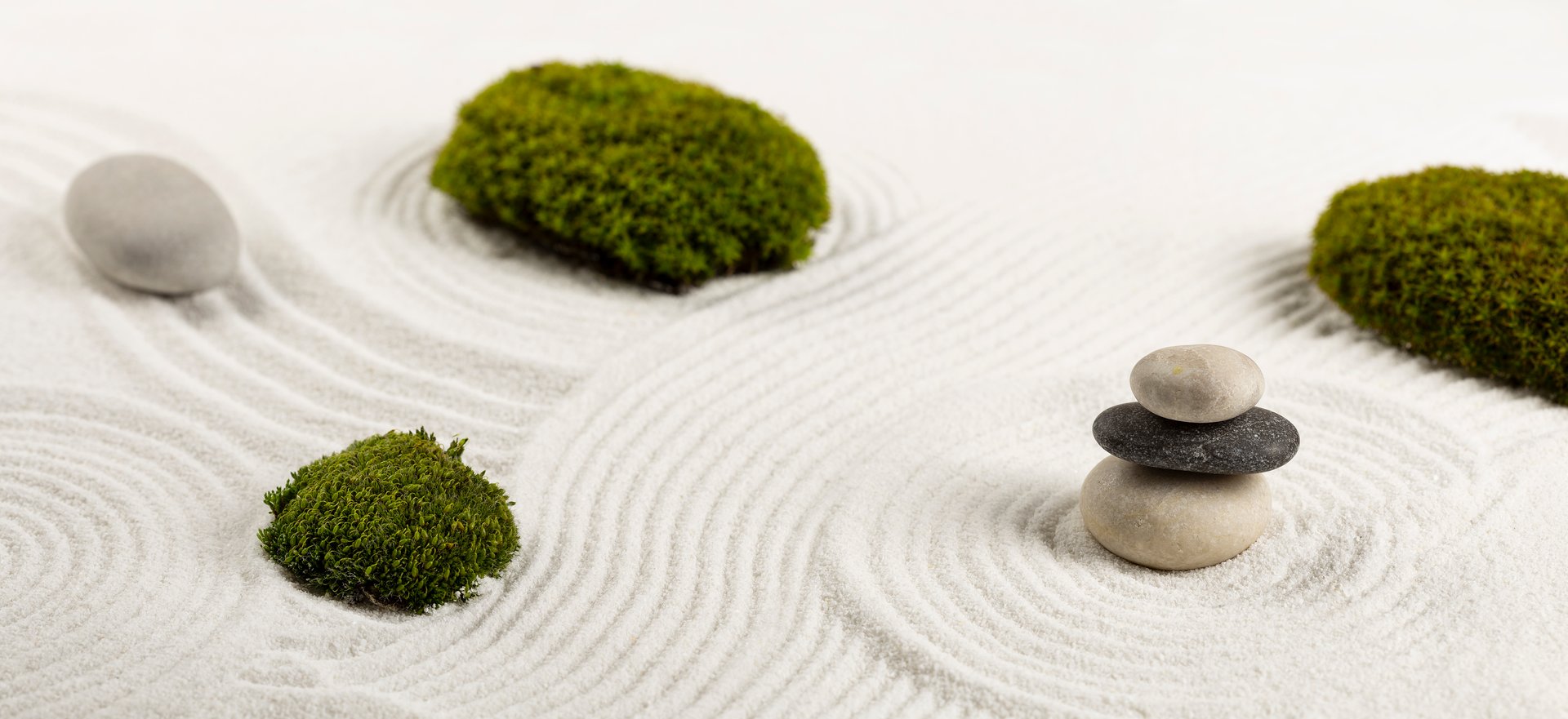 Zen garden with sand pattern, green bushes and stones