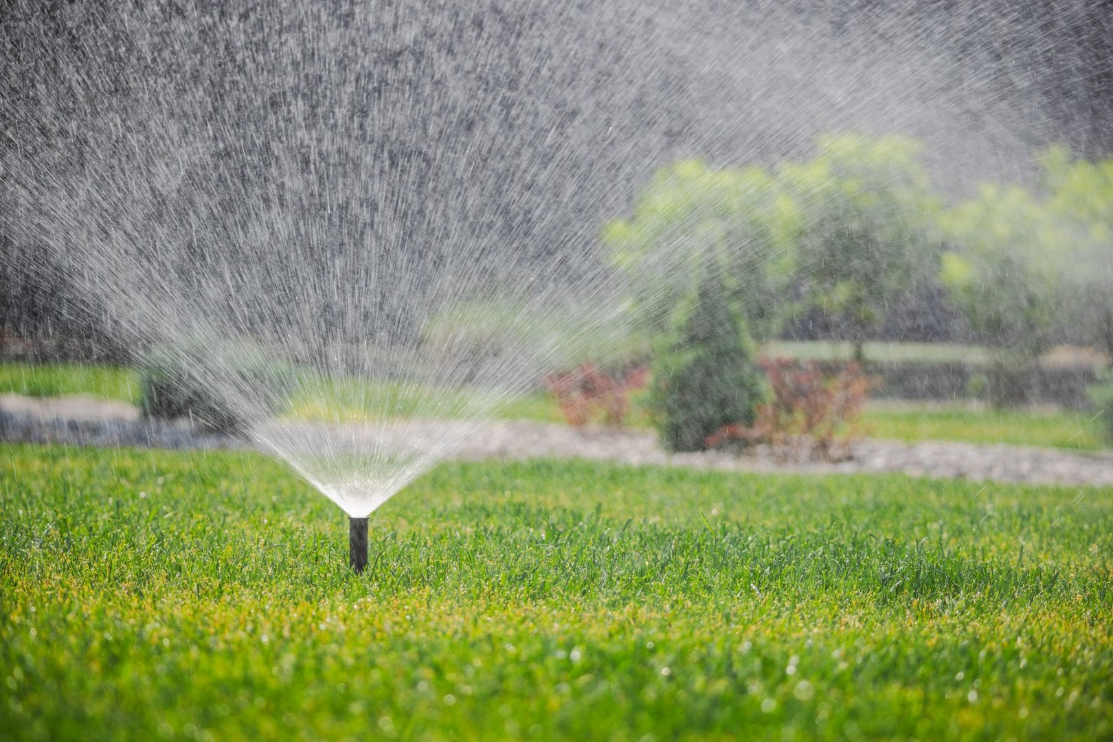 Garden sprinkler in action sprays water evenly across green lawn during summer irrigation in well-maintained residential backyard. High quality photo