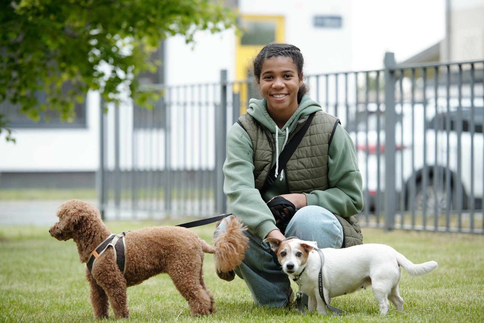 Happy youthful girl in casualwear looking at camera with smile while taking stroll with jack russel and toy poodle in urban environment