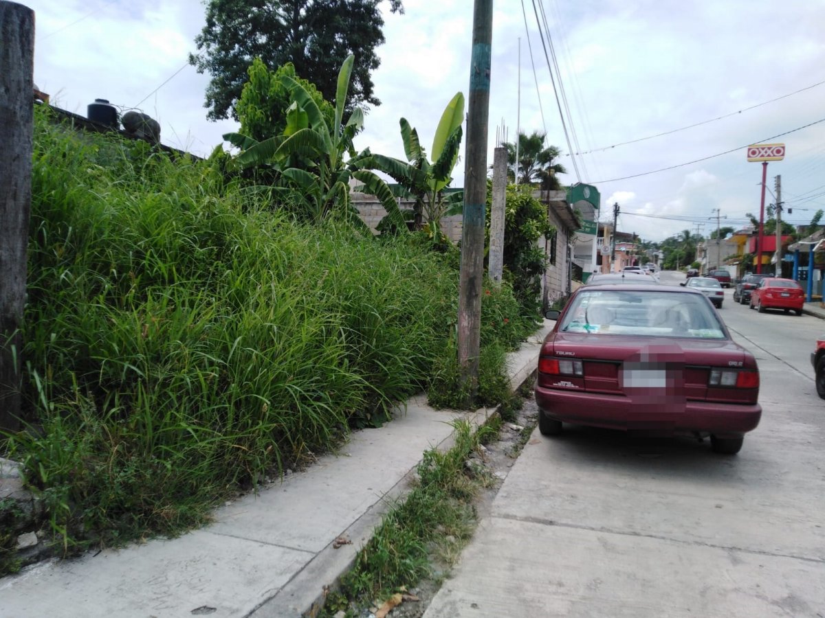 Banquetas accesibles