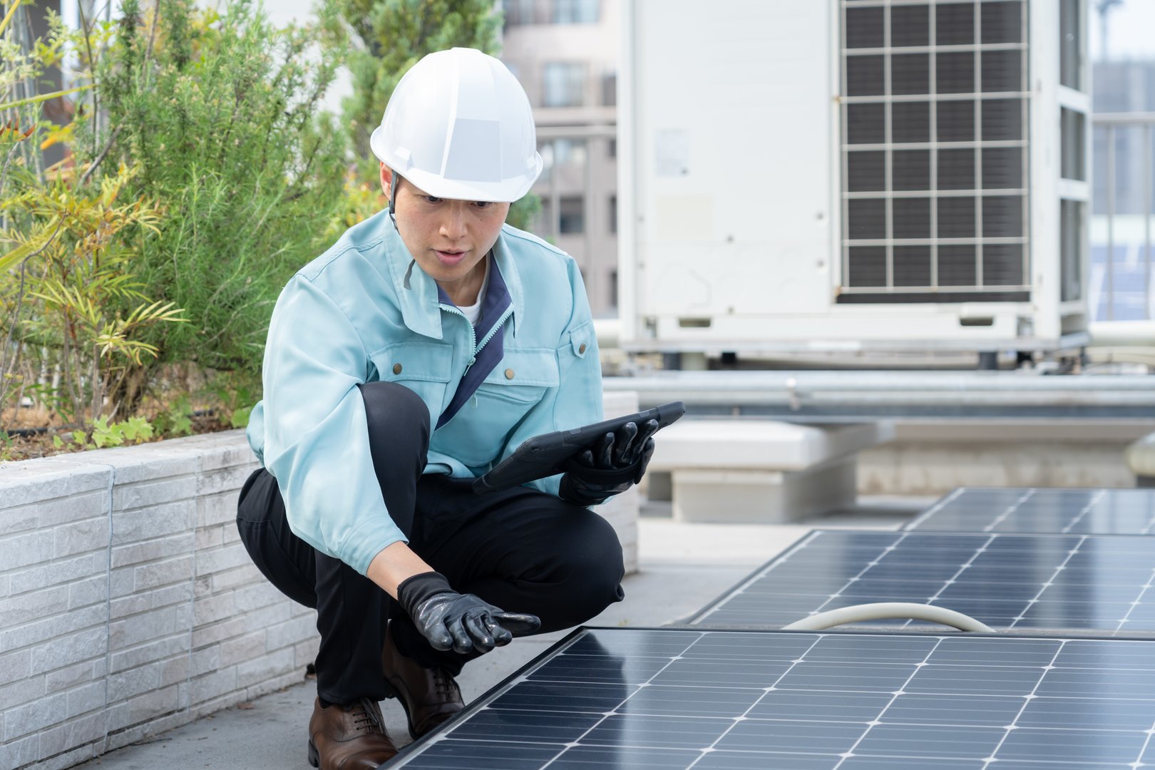 Worker maintaining solar panels