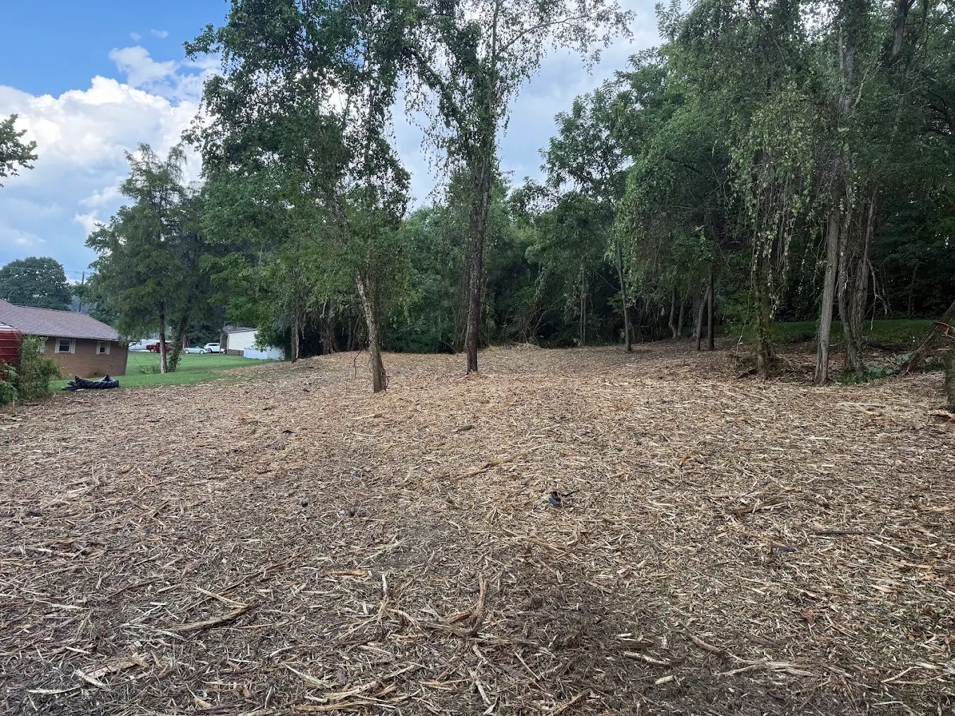 Land clearing project