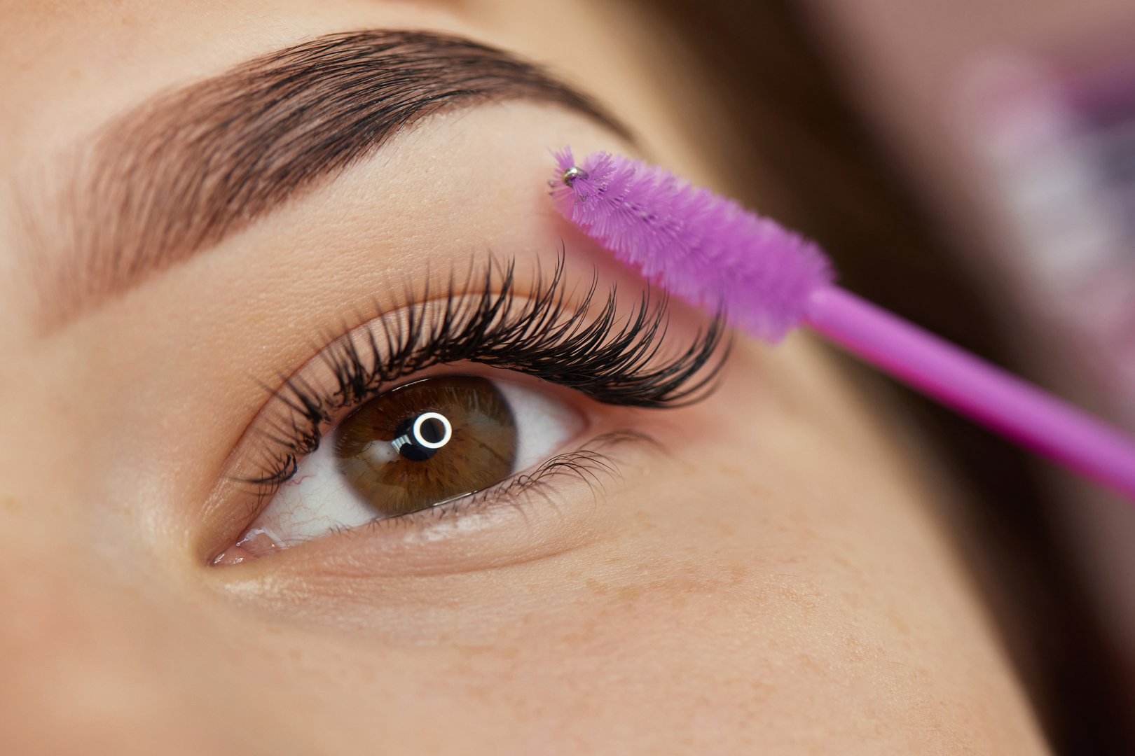 master combs the eyelashes of the client after the eyelash extension procedure. close-up. Cosmetology and skin care