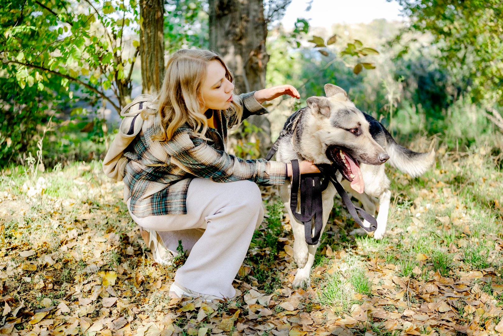 Young woman dog sitter communicating with East European Shepherd during training session in autumn forest; concept of animal therapy, education, friendship and pet obedience.