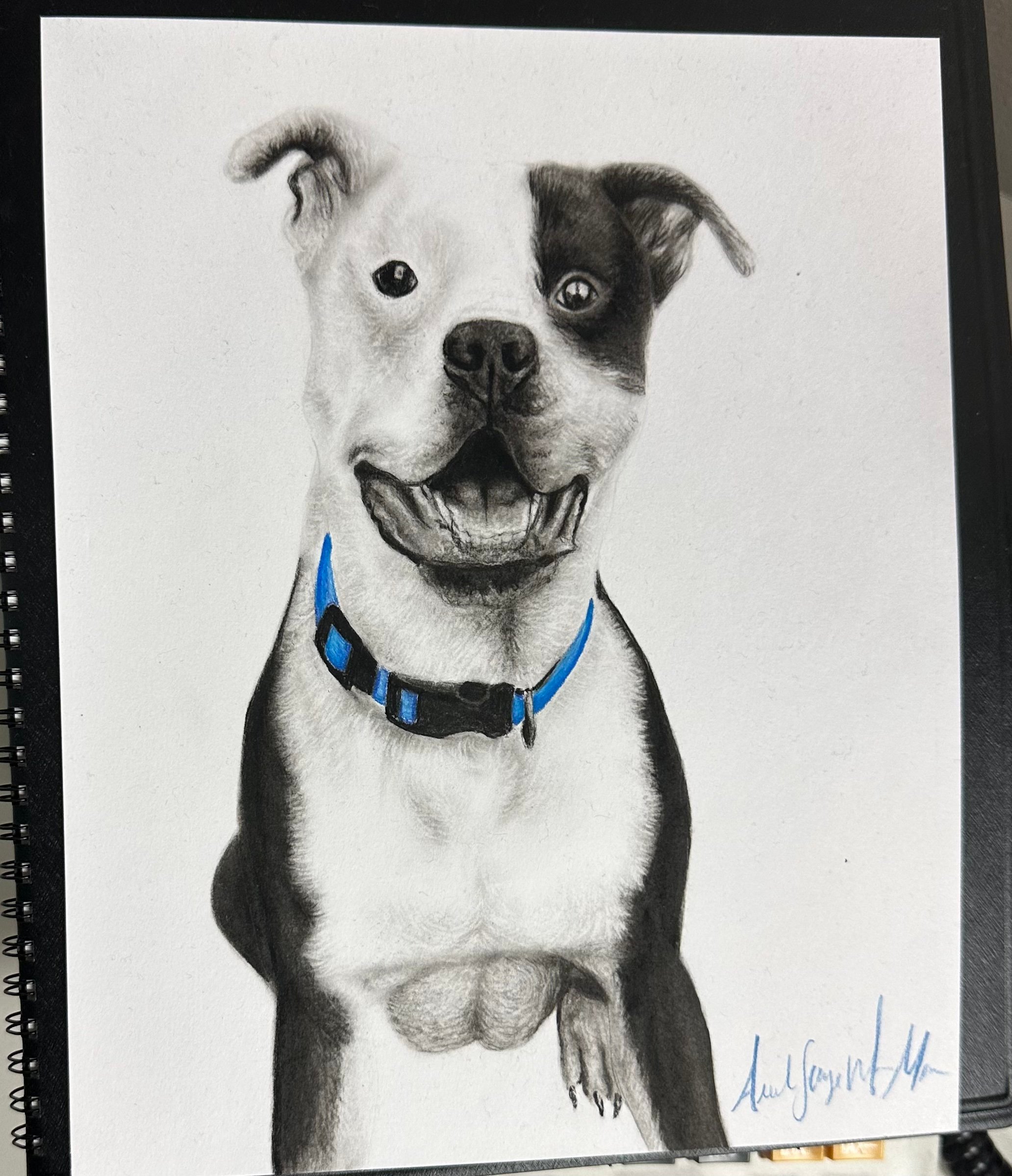 Store gallery showcase