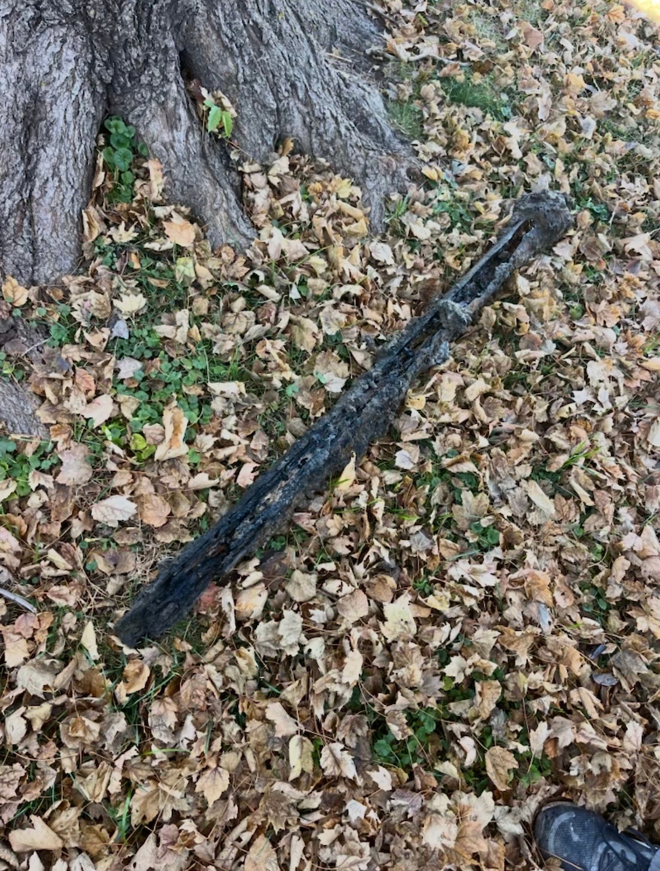 Professional plumbing service