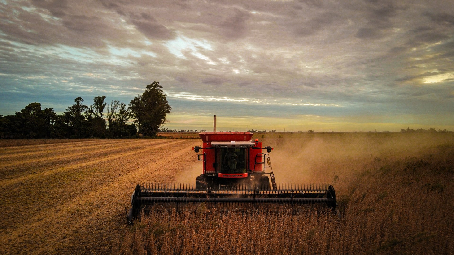 Soybean harvest - farmers harvesting crops