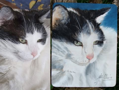 Zrealizowane zamówienie 8